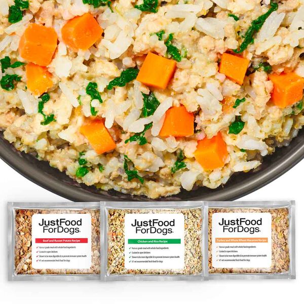 Variety Pack - Best Sellers 18 oz (21 Pack) Medium Box